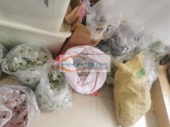 【爆款来袭】[烟花]动漫指尖陀螺直接工厂