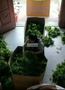 承接手工活加工，包装，打胶枪，组装，串珠