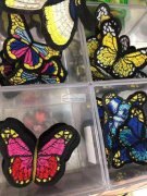 谁家有这款蝴蝶花？请看图，有的联系我，我