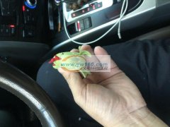 寻江西上饶的平车加工厂，15-40左右工