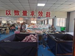 河南工厂&nbsp;&nbsp;2400