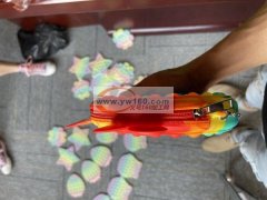 寻找包包上拉链加工厂