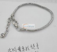 寻找潘多拉链条的厂家，如图所示，有的和我