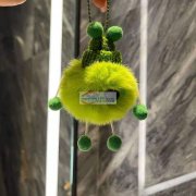 有谁会做图片这个小东西，会做的联系我，价