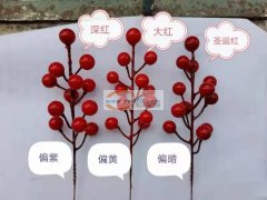 本厂大量生产红果冬青系列产品欢迎洽谈合作