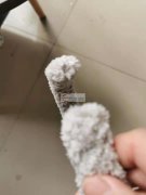 头箍封口外发，超声波封口加工厂 如图