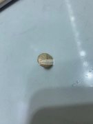 采购如图扣子，寻找有此款扣子的厂家，有直