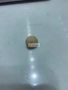 采购如图扣子，寻找有此款扣子的厂家，有直