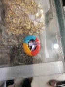 寻橡皮泥工厂，如图，有能做工厂速速与我联