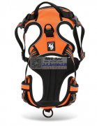 贝鲁宠物服装公司，诚招加工合作，宠物服装，胸背，常年货源充足