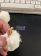 这两款耳饰谁家有？如图所示，有的与我联系