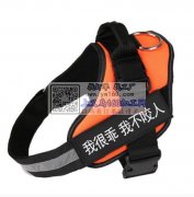 福宝宠物服装公司，诚招加工合作，宠物服装，胸背，常年货源充足