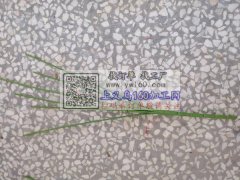 找工艺品原料加工厂，有专业做的请联系我