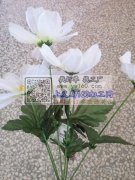 找工艺品原料加工厂，有专业做的请联系我