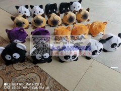 本厂现有车工50余名，手工60人。诚接布
