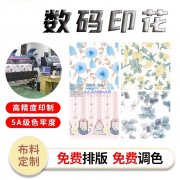 承接各类布料口罩抱枕箱包服饰数码印花加工转印加工