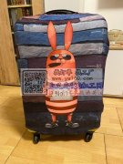 有服装厂平车能做箱套的吗，需要印花