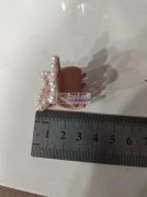 谁有这个模具，要夹子30000个，有做的