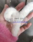 承接各种绕发夹，抓夹。出货快质量好，价格