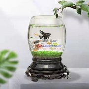 现需寻找能生产类似图片的玻璃鱼缸厂家 ，