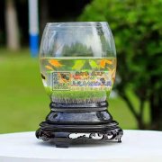 现需寻找能生产类似图片的玻璃鱼缸厂家 ，