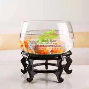 现需寻找能生产类似图片的玻璃鱼缸厂家 ，