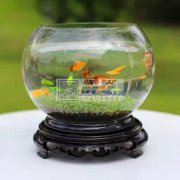 现需寻找能生产类似图片的玻璃鱼缸厂家 ，