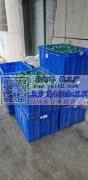 本厂承接玩具，饰品，五金，钟表喷漆及移印
