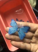 图中蝴蝶印刷外发，找做这个蝴蝶的印刷工厂，
