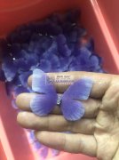 图中蝴蝶印刷外发，找做这个蝴蝶的印刷工厂，