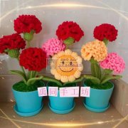 寻找可以做毛线花艺的厂家，能做如图此类毛