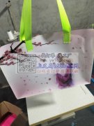 本厂常年承接各种化妆包，手提袋，包工包料