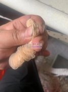 寻找能开磨具 套筒 双层 的加工厂，有能