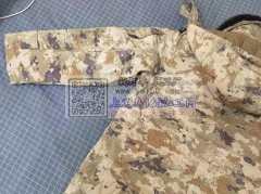 寻能做图中羽绒服的平车工厂，发七月底能接