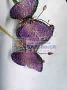 现需求购刺绣的蝴蝶，谁家有货？有货的联系下我