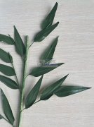 找能做这款竹签纸叶手工制作的加工厂、有经