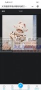 博龙服饰加工厂，工人有40多人，承接，儿
