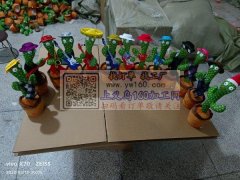 出售仙人掌，款式多多，价格优惠，需要加微