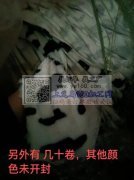 底价处理：兔毛、PV绒、单面绒