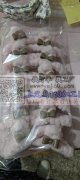 义乌市宝龙饰品厂承接包装，胶枪，bb夹，