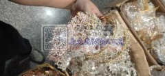 现有如图合金饰品处理，找专业收库存的，有