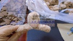 我厂有打胶枪活外发，寻找专业打胶枪的加工