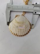 采购图上贝壳配件现货，需要2000个，谁