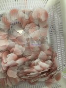 亚克力手工包装