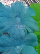 大量采购无防布和水布，寻找直接工厂，一条