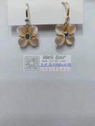 急需寻找如图所示这两款耳环【客户在线等】