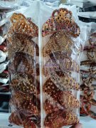 大量需要如图这个发夹点钻底坯，寻找这个点