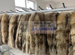 承接皮草兔皮，狐狸，貉子，水貂等半成品，