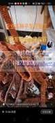 精伍平车加工厂：大量承接翻条加工、可包绳