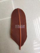 找做类似于图中这个的羽毛工厂，